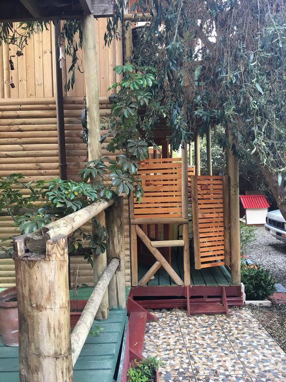 La Maison des Fous Papudo Extérieur photo